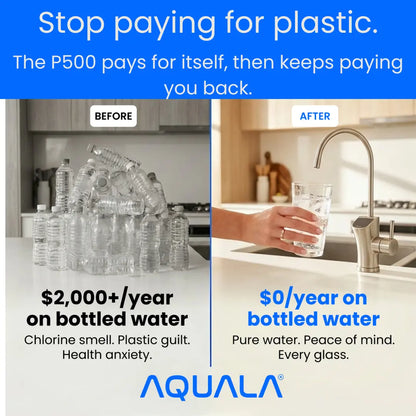 P500 Tankless Reverse Osmosis System